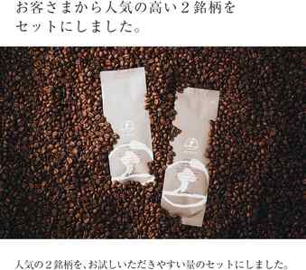 実際に飲んだAmazonで買えるコーヒー豆おすすめランキング33選【2026年】