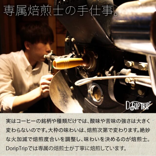 実際に飲んだコスタリカコーヒー豆おすすめランキング10選