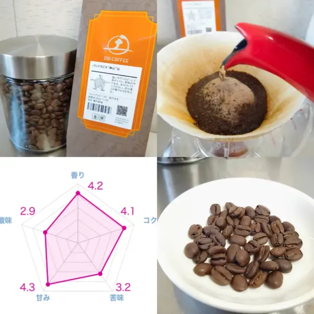 実際に飲んだ土居珈琲のおすすめコーヒー豆ランキング19選