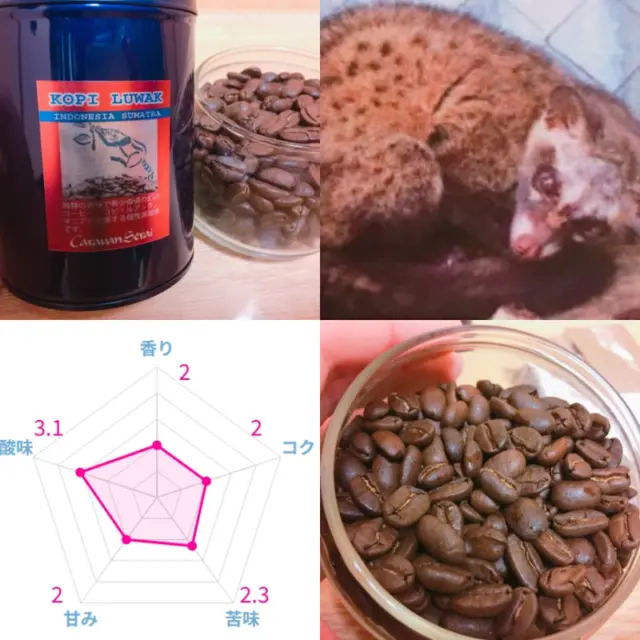 実際に飲んだインドネシアコーヒーおすすめランキング19選